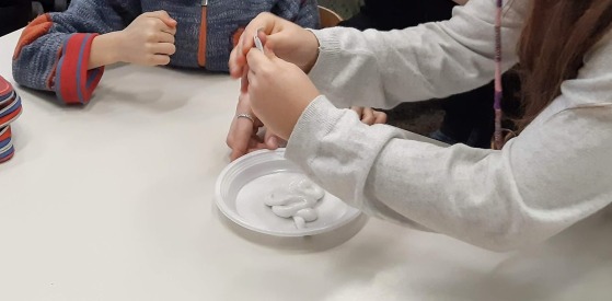 SID Scuola Primaria